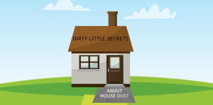 Dirty Little Secrets About House Dust