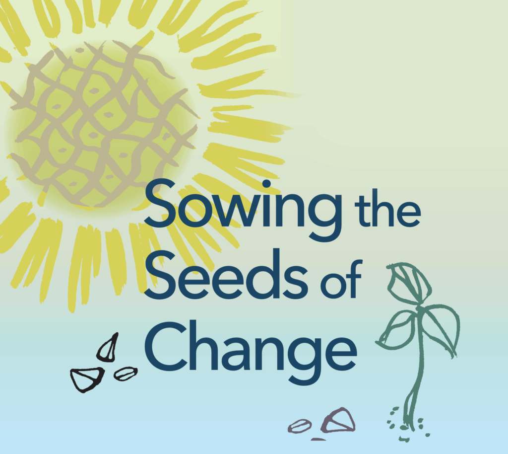 Image of sunflower which mimics the sun and growing seedlings